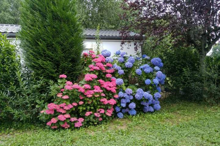Espace vert camping Bagnères-de-Bigorre